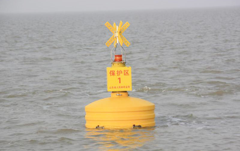 PE Rotational Molding Buoy